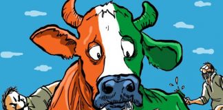 Cow-Politics-India