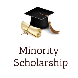 Minority scholarship