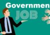 Government-job