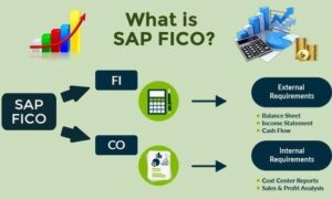 SAP FICO Consultant