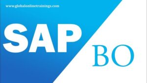 SAP BO Architect