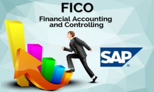 SAP FICO- Financial Accounting and