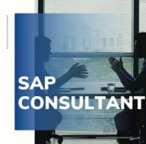 SAP FICO/HANA Consultant