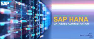 SAP Database Administrator (Hana)