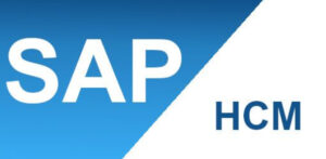 SAP ABAP/HR Consultant - HCM Modules