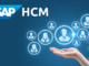 An integrated element of SAP ERP systems called SAP HCM (Human Capital Management) aids businesses in managing their HR procedures. It includes a broad range of HR-related duties, such as strategic workforce management and administrative work. This is a thorough synopsis.