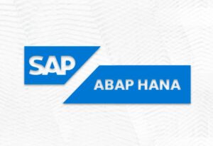 Application Developer: SAP ABAP HANA