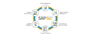 SAP Business Development Manager