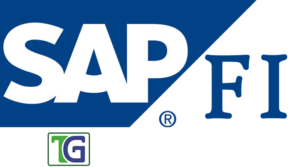 SAP FICO Consultant