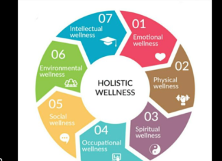 Nurturing Wellness: A Holistic Approach to Health in Today's Fast-Paced World