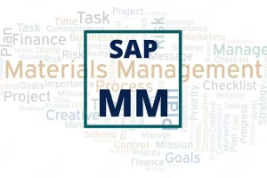 Sap management mm 