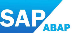 SAP ABAP Developer for USA