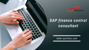 Sap Finance Control Consultant