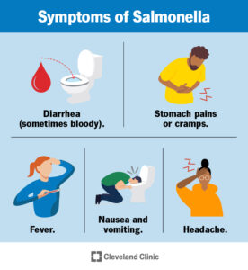 Salmonella infections