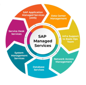 SAP BASIS Administration Application Lead