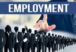 Employment rate rises 6% provisionally in FY24 from 3.2% in FY23: RBI data 