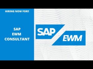 SAP EWM Functional