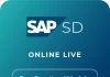 SAP SD (Sales and Distribution)