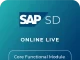 SAP SD (Sales and Distribution)