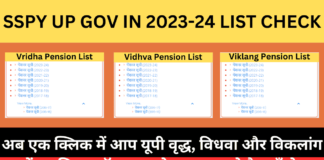 UP Pension Scheme