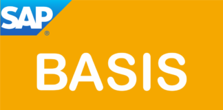 SAP Basis