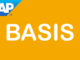 SAP Basis