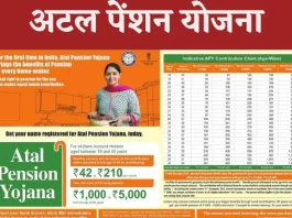 अटल पेंशन योजना 2024 (Atal Pension Yojana)